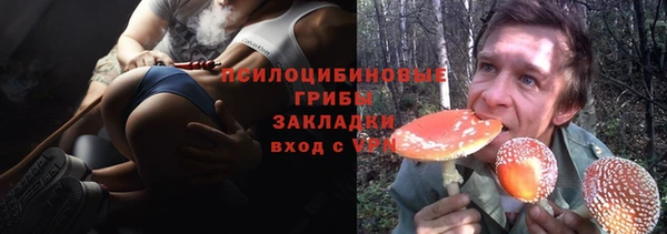 прущие крисы Россошь