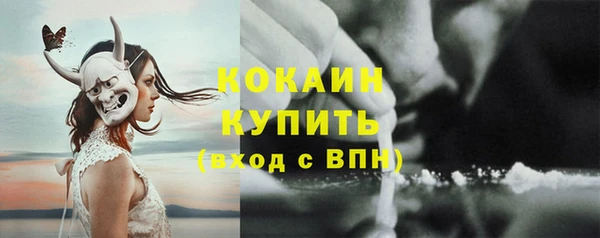 кокс Арсеньев