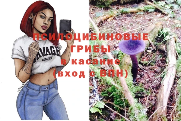 гашик Балахна