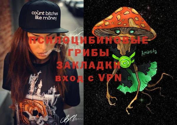 гашик Балахна