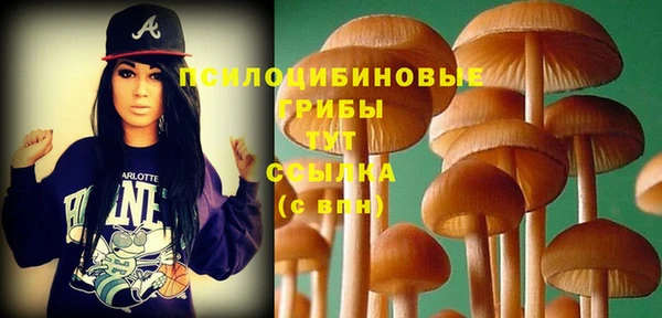 прущие крисы Россошь